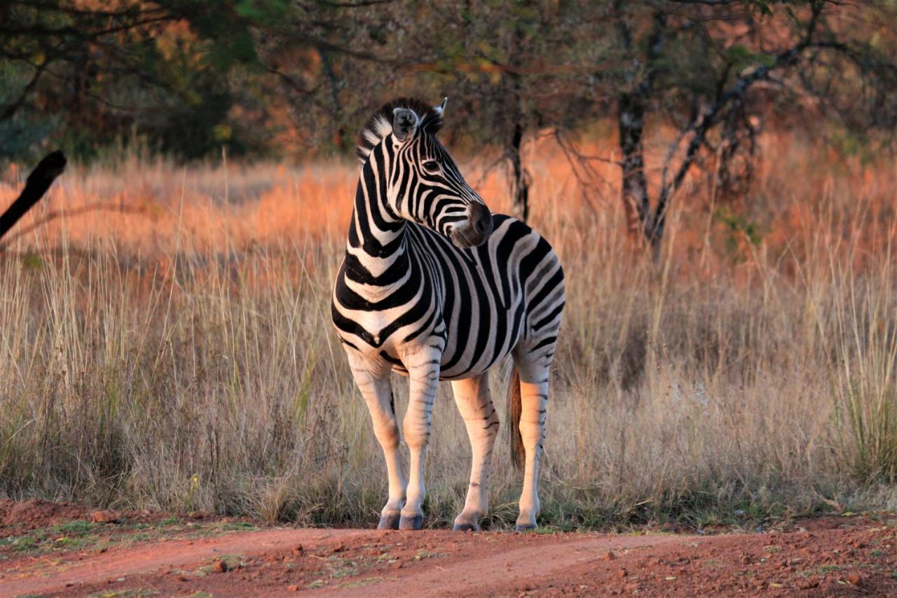 Bass Lake Country Lodge Pretoria-Noord Kültér fotó